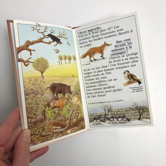 2 Livres jeunesse vintage 90s 🦊 Documentaire + Roman Fantastique Maître Renard - Picture 8 of 9